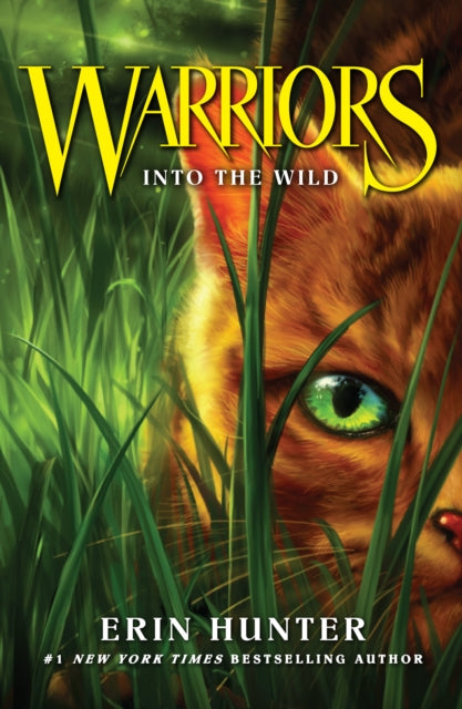 Into the Wild : Book 1-9780007217878