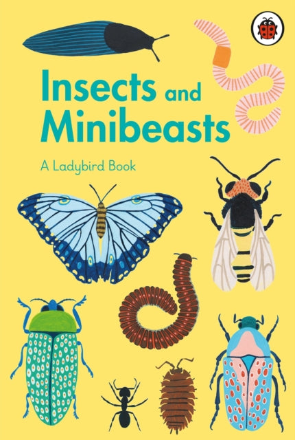 A Ladybird Book: Insects and Minibeasts-9780241417034