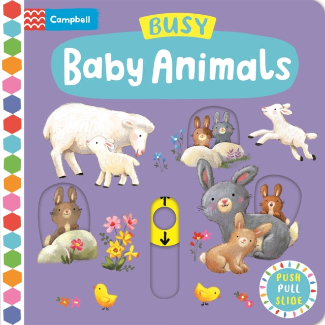 Busy Baby Animals-9781035004706