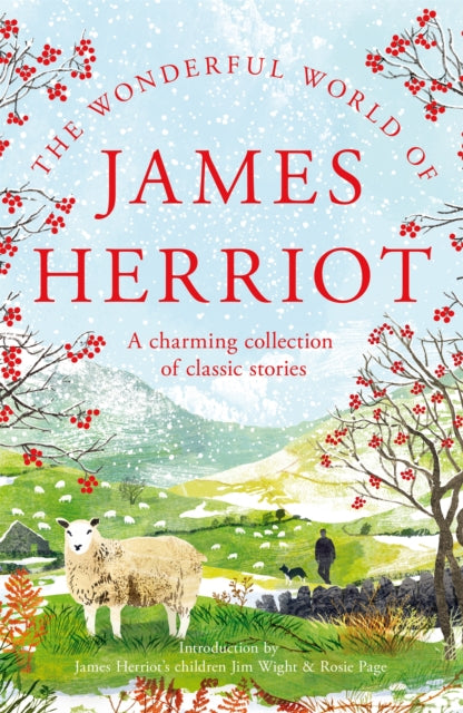 The Wonderful World of James Herriot : A charming collection of classic stories-9781035008537