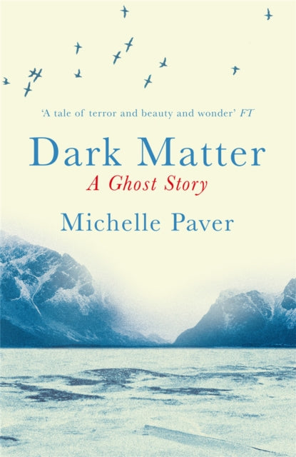 Dark Matter : the gripping ghost story from the author of WAKENHYRST-9781409121183