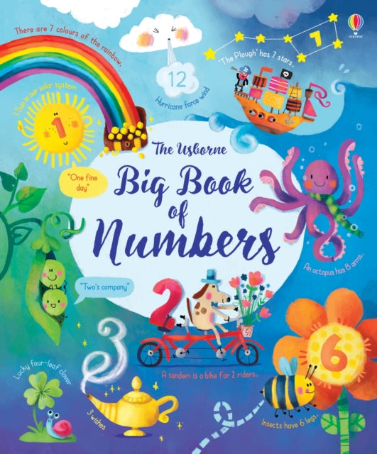 Big Book of Numbers-9781474937191