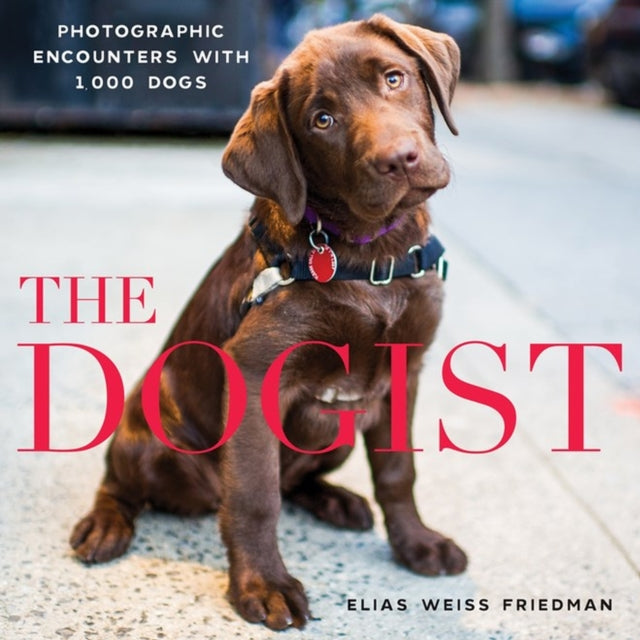 The Dogist : Photographic Encounters with 1,000 Dogs-9781579656713