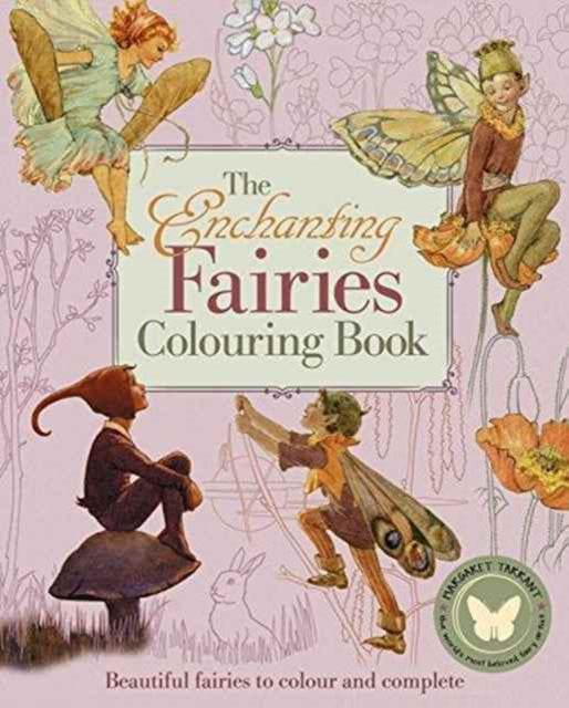 Enchanting Fairies Colouring Book, the-9781784284084
