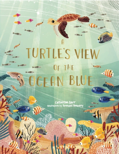 A Turtle's View of the Ocean Blue-9781786279095