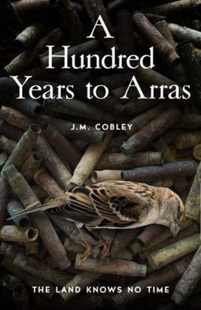 A Hundred Years to Arras-9781789651492