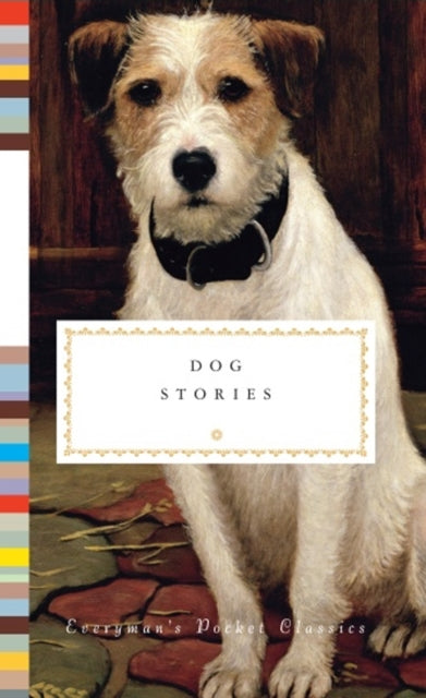 Dog Stories-9781841596068