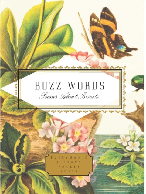 Buzz Words : Poems About Insects-9781841598215