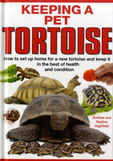 Keeping a Pet Tortoise-9781842862131
