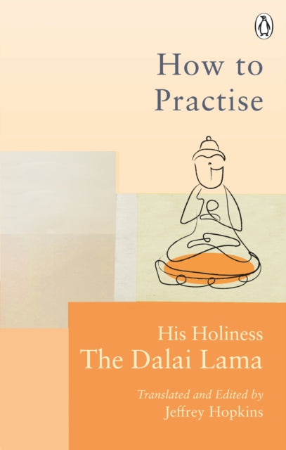 How To Practise : The Way to a Meaningful Life-9781846046414