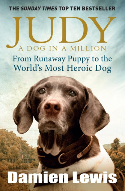 Judy: A Dog in a Million : From Runaway Puppy to the World's Most Heroic Dog-9781848665385