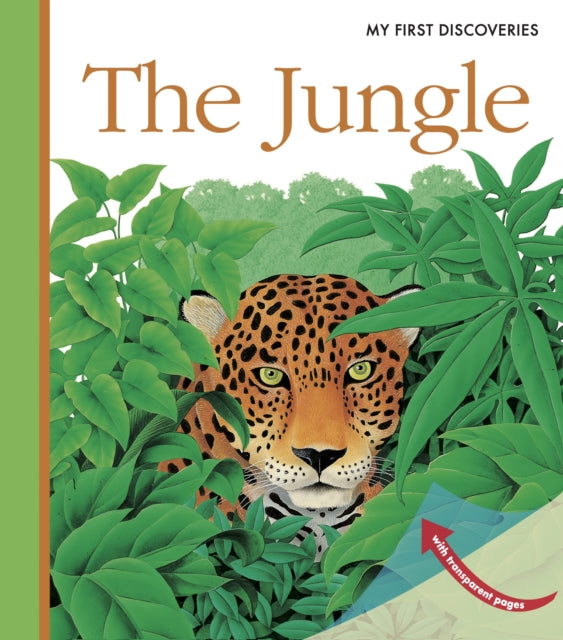 The Jungle-9781851033997