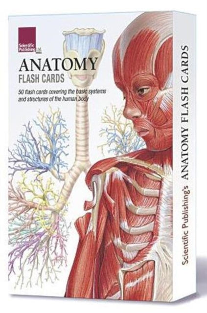 Anatomy Flash Cards-9781935612278