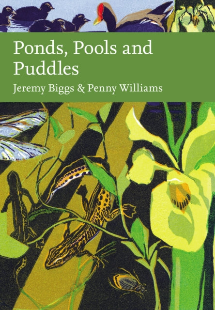 Ponds, Pools and Puddles-9780002200851