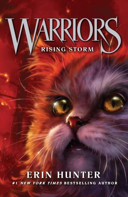 Rising Storm : Book 4-9780007140053