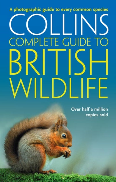 British Wildlife : A Photographic Guide to Every Common Species-9780007236831