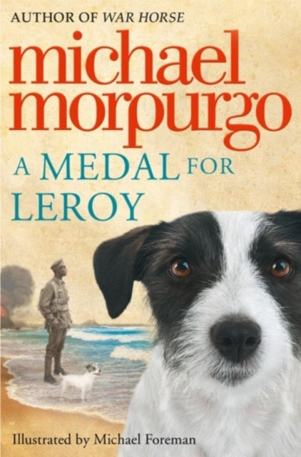A Medal for Leroy-9780007339686