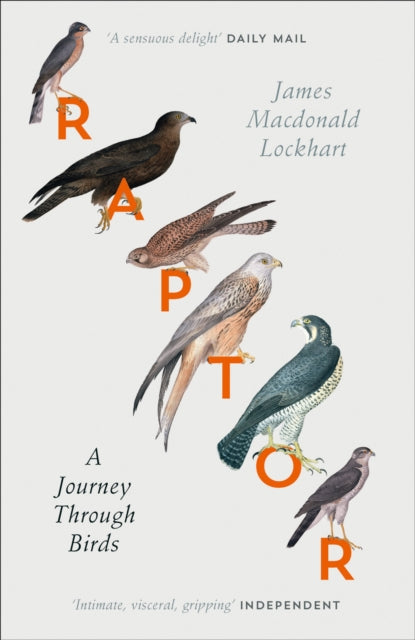 Raptor : A Journey Through Birds-9780007459896