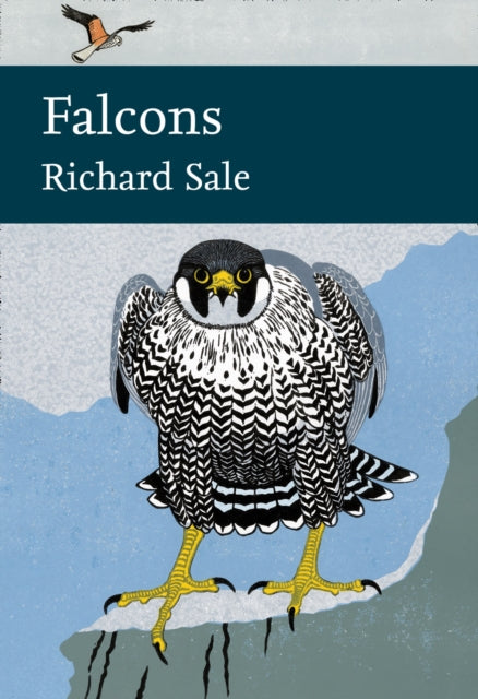 Falcons : Book 132-9780007511419