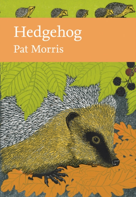 Hedgehog : Book 137-9780008235703