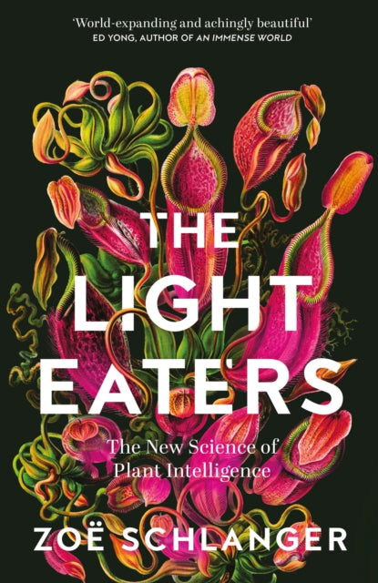The Light Eaters : The New Science of Plant Intelligence-9780008445348