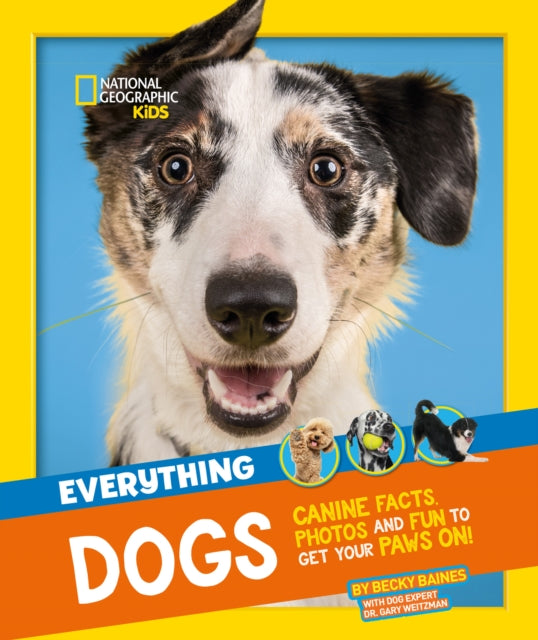 Everything: Dogs : Canine Facts, Photos and Fun to Get Your Paws on!-9780008541569