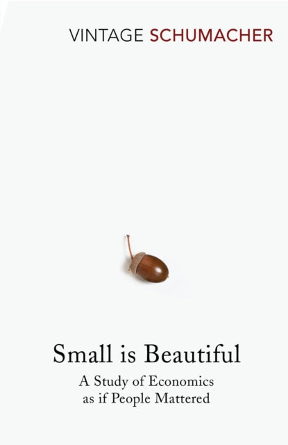 Small Is Beautiful : A Study of Economics as if People Mattered-9780099225614