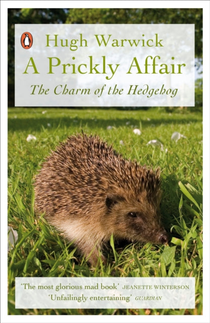A Prickly Affair : The Charm of the Hedgehog-9780141988184