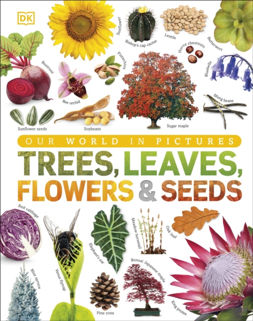 Trees, Leaves, Flowers & Seeds : A visual encyclopedia of the plant kingdom-9780241339923