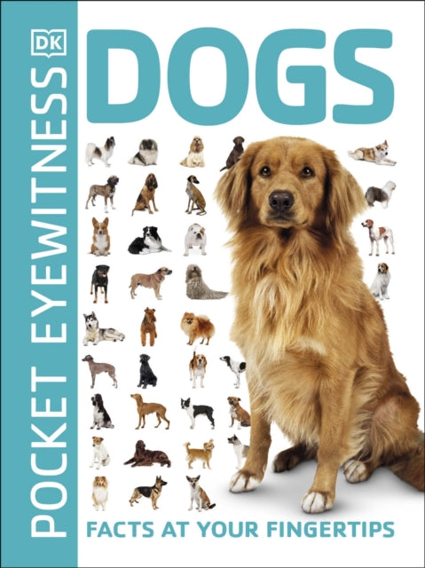 Pocket Eyewitness Dogs : Facts at Your Fingertips-9780241343609