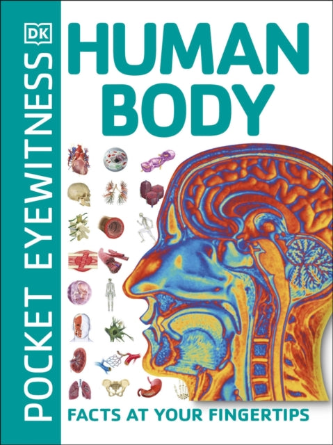 Pocket Eyewitness Human Body : Facts at Your Fingertips-9780241343630