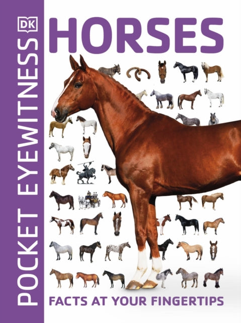 Pocket Eyewitness Horses : Facts at Your Fingertips-9780241343661