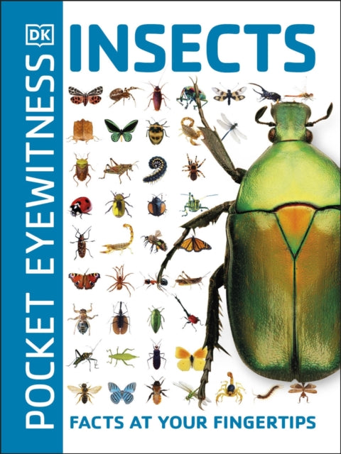 Pocket Eyewitness Insects : Facts at Your Fingertips-9780241343685