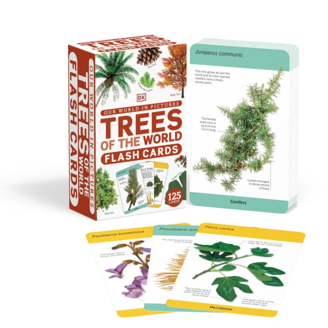 Our World in Pictures Trees of the World Flash Cards-9780241536322