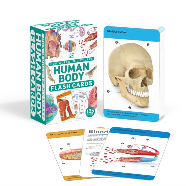 Our World in Pictures Human Body Flash Cards-9780241620113