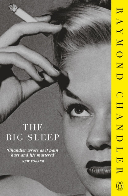 The Big Sleep-9780241956281