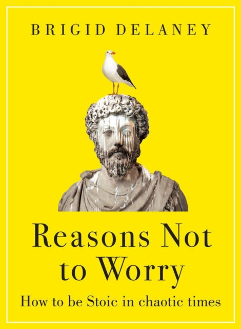 Reasons Not to Worry : How to be Stoic in chaotic times-9780349436296
