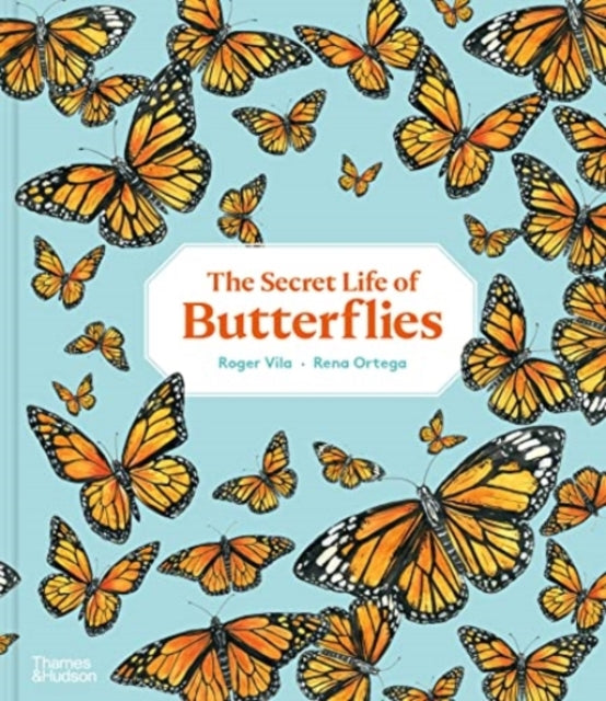The Secret Life of Butterflies-9780500653012