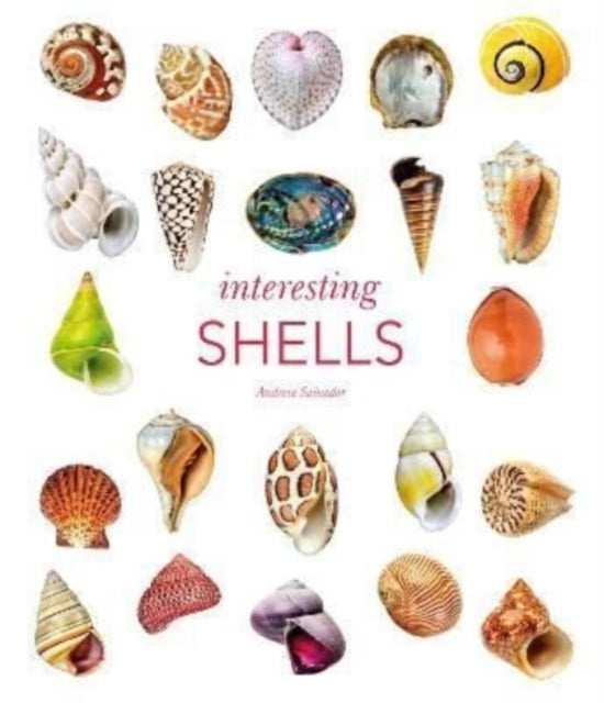 Interesting Shells-9780565095109