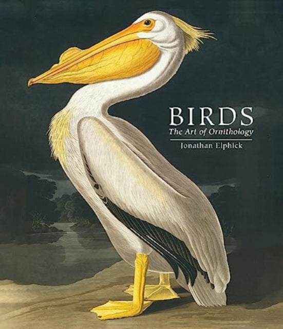 Birds : The Art of Ornithology (Pocket edition)-9780565095512