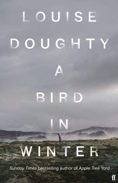 A Bird in Winter : 'Nail-bitingly tense and compelling' Paula Hawkins-9780571322176