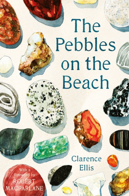 The Pebbles on the Beach-9780571347933