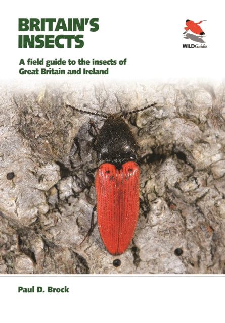 Britain's Insects : A Field Guide to the Insects of Great Britain and Ireland-9780691179278