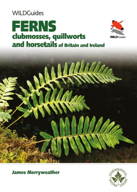Britain's Ferns : A Field Guide to the Clubmosses, Quillworts, Horsetails and Ferns of Great Britain and Ireland-9780691180397