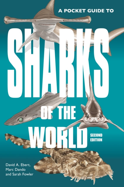 A Pocket Guide to Sharks of the World : Second Edition-9780691218748