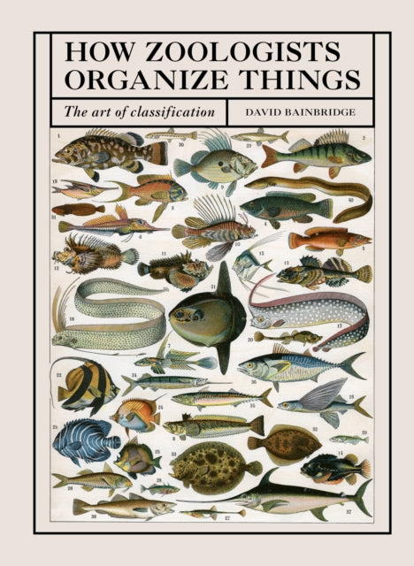 How Zoologists Organize Things : The Art of Classification-9780711252264