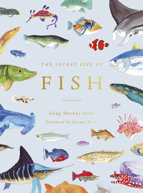 The Secret Life of Fish : The Astonishing Truth about our Aquatic Cousins-9780711260993