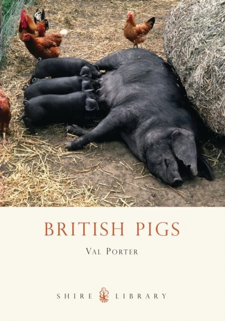 British Pigs : No. 340-9780747807636