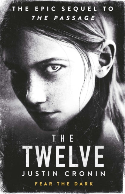 The Twelve : 'Will stand as one of the great achievements in American fantasy fiction' Stephen King-9780752883335