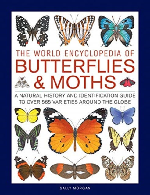 Butterflies & Moths, The World Encyclopedia of : A natural history and identification guide to over 565 varieties around the globe-9780754834762